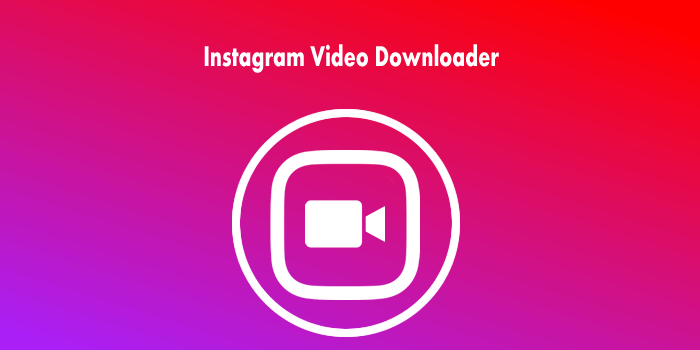 Your Go-To Solution: Online Instagram Video Downloader